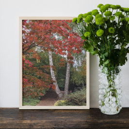 Colorful Autumn Leaves Foto Afdruk