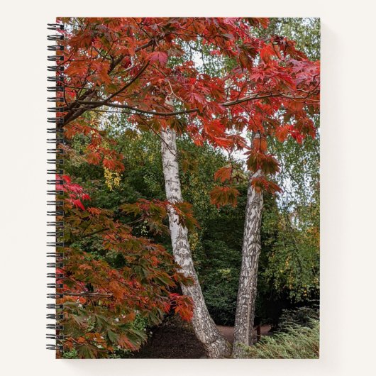 Colorful Autumn Leaves Foto Notitieboek (Voorkant)