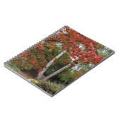 Colorful Autumn Leaves Foto Notitieboek (Linkerzijde)