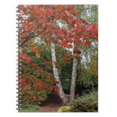 Colorful Autumn Leaves Foto Notitieboek (Voorkant)