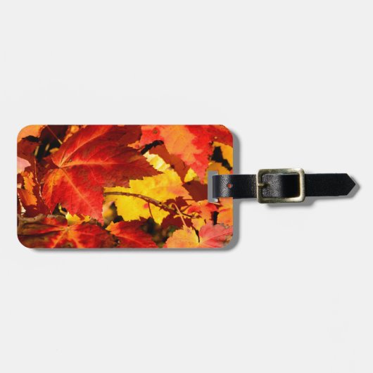 Colorful Autumn Leaves, goudrood oranje esdoorblad Bagagelabel (Voorkant horizontaal)