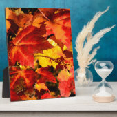 Colorful Autumn Leaves, goudrood oranje esdoorblad Fotoplaat (Zijkant)