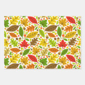 Colorful Autumn Leaves Inpakpapier Vel (Voorkant 3)