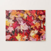 Colorful Autumn Leaves Legpuzzel (Horizontaal)
