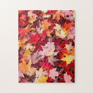 Colorful Autumn Leaves Legpuzzel