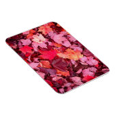 Colorful Autumn Leaves Magneet (Rechterzijde)