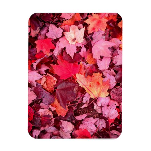 Colorful Autumn Leaves Magneet (Verticaal)