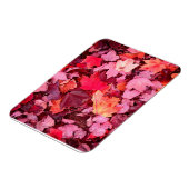 Colorful Autumn Leaves Magneet (Linkerzijde)