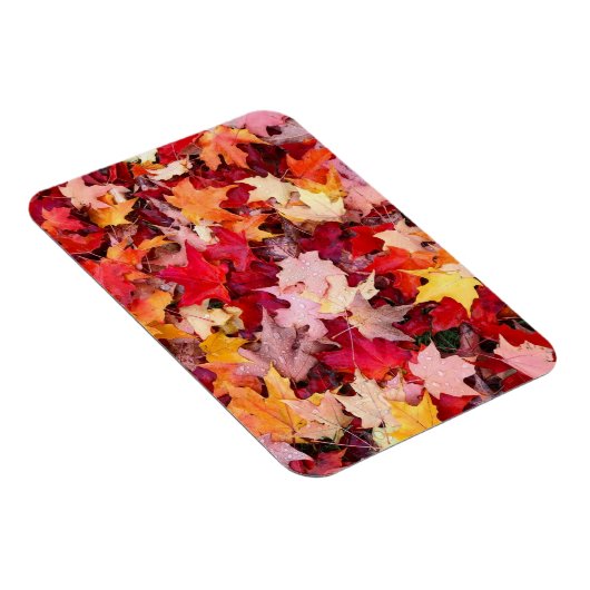 Colorful Autumn Leaves Magneet (Rechterzijde)