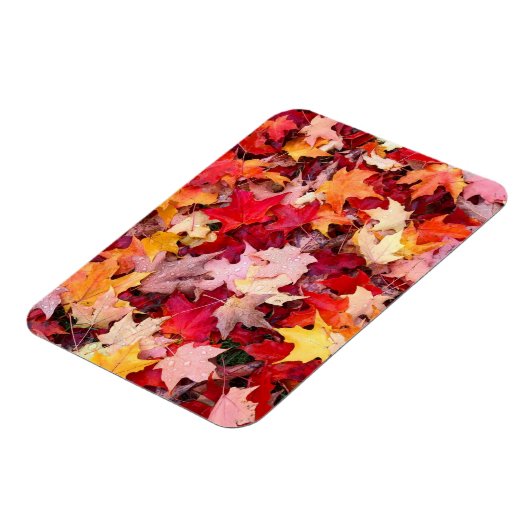 Colorful Autumn Leaves Magneet (Linkerzijde)