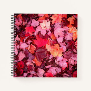 Colorful Autumn Leaves Notitieboek