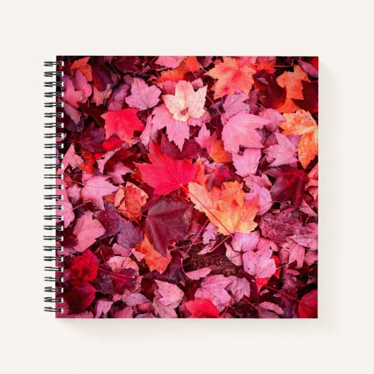 Colorful Autumn Leaves Notitieboek (Voorkant)