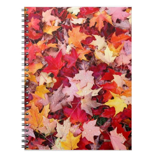 Colorful Autumn Leaves Notitieboek (Voorkant)