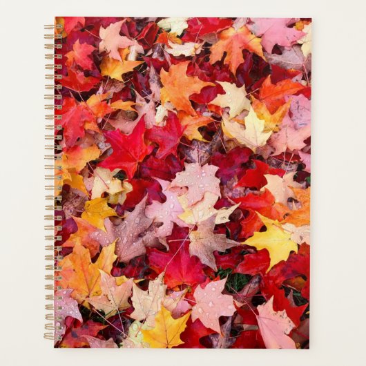 Colorful Autumn Leaves Planner (Voorkant)