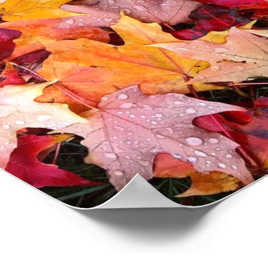 Colorful Autumn Leaves Poster (Hoek)