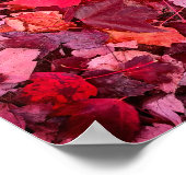 Colorful Autumn Leaves Poster (Hoek)