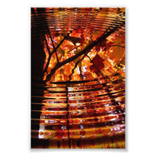 Colorful Autumn Leaves Reflected in Water Foto Afdruk