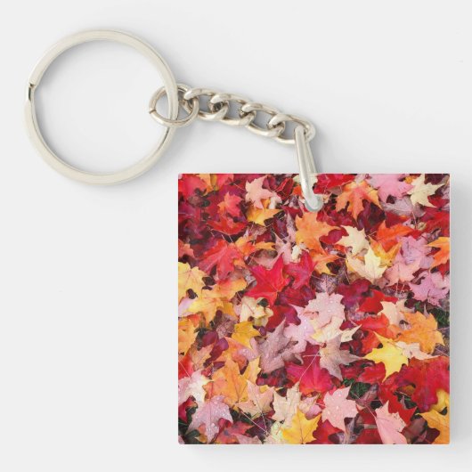 Colorful Autumn Leaves Sleutelhanger (voorkant)