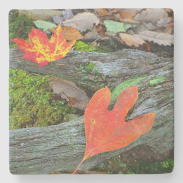 Colorful Autumn Leaves Stenen Onderzetter