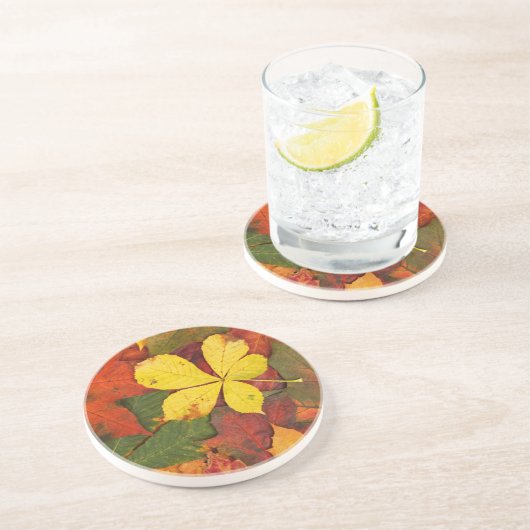 Colorful Autumn Leaves Zandsteen Onderzetter (Zijkant)