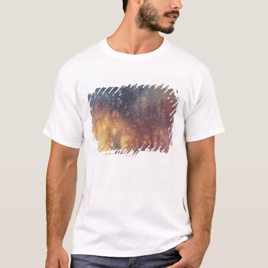 Colorful Autumn T-shirt (Voorkant)
