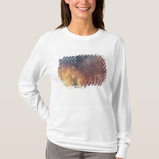 Colorful Autumn T-shirt (Voorkant)