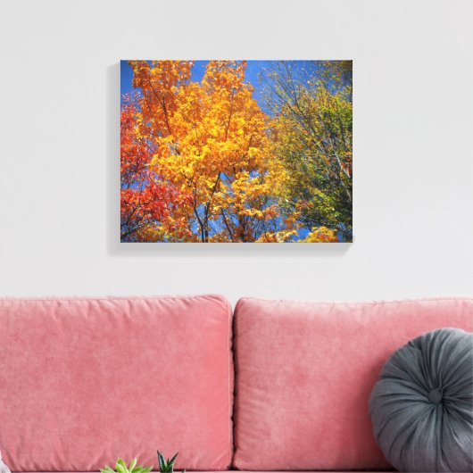 Colorful Autumn Trees Canvas Afdruk (Insitu (Woonkamer))