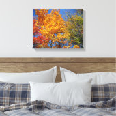 Colorful Autumn Trees Canvas Afdruk (Insitu (Slaapkamer))