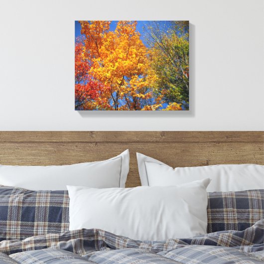 Colorful Autumn Trees Canvas Afdruk (Insitu (Slaapkamer))