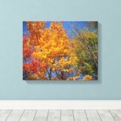 Colorful Autumn Trees Canvas Afdruk (Insitu (Houten vloer))
