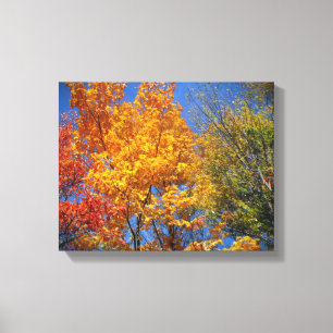Colorful Autumn Trees Canvas Afdruk