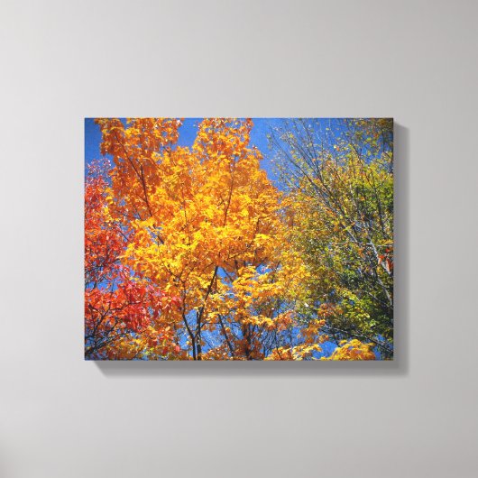 Colorful Autumn Trees Canvas Afdruk (Voorkant)