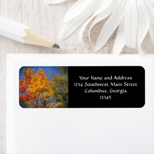 Colorful Autumn Trees Etiket (Insitu)