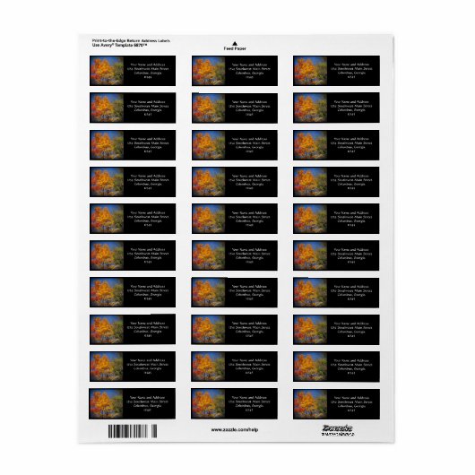 Colorful Autumn Trees Etiket (Full Sheet)