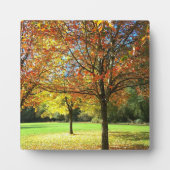 Colorful Autumn Trees Fotoplaat (Voorkant)