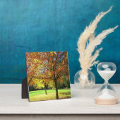 Colorful Autumn Trees Fotoplaat (Insitu)