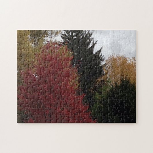 Colorful Autumn Trees Grey Sky Puzzles Legpuzzel (Horizontaal)