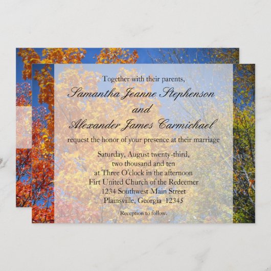 Colorful Autumn Trees Kaart (Voorkant / Achterkant)