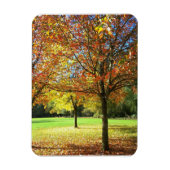 Colorful Autumn Trees Magneet (Verticaal)