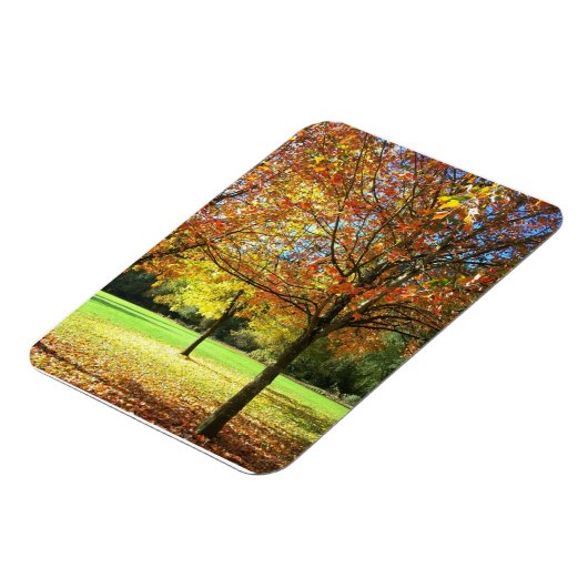 Colorful Autumn Trees Magneet (Linkerzijde)
