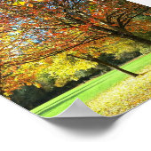 Colorful Autumn Trees Poster (Hoek)