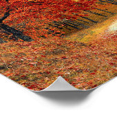 Colorful Autumn Trees Road Poster (Hoek)