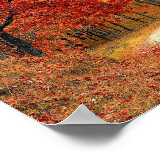Colorful Autumn Trees Road Poster (Hoek)