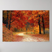 Colorful Autumn Trees Road Poster (Voorkant)