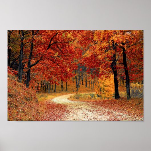Colorful Autumn Trees Road Poster (Voorkant)
