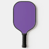 Colorful Baby Dragon Pickleball Paddle (Achterkant)