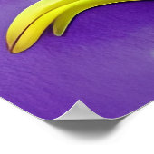 Colorful Baby Dragon Poster (Hoek)