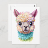 Colorful Baby Lama Briefkaart (Voorkant / Achterkant)