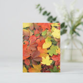 Colorful Background of Fallen Autumn Leaves Briefkaart (Staand voorkant)