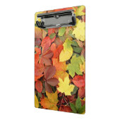 Colorful Background of Fallen Autumn Leaves Mini Klembord (Angled2)